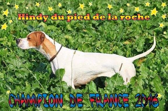 du Pied de la Roche - a l' Honneur sur Pointer Club